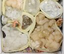 Mixed Indian Mineral & Crystal Flat - Pieces #138530-1